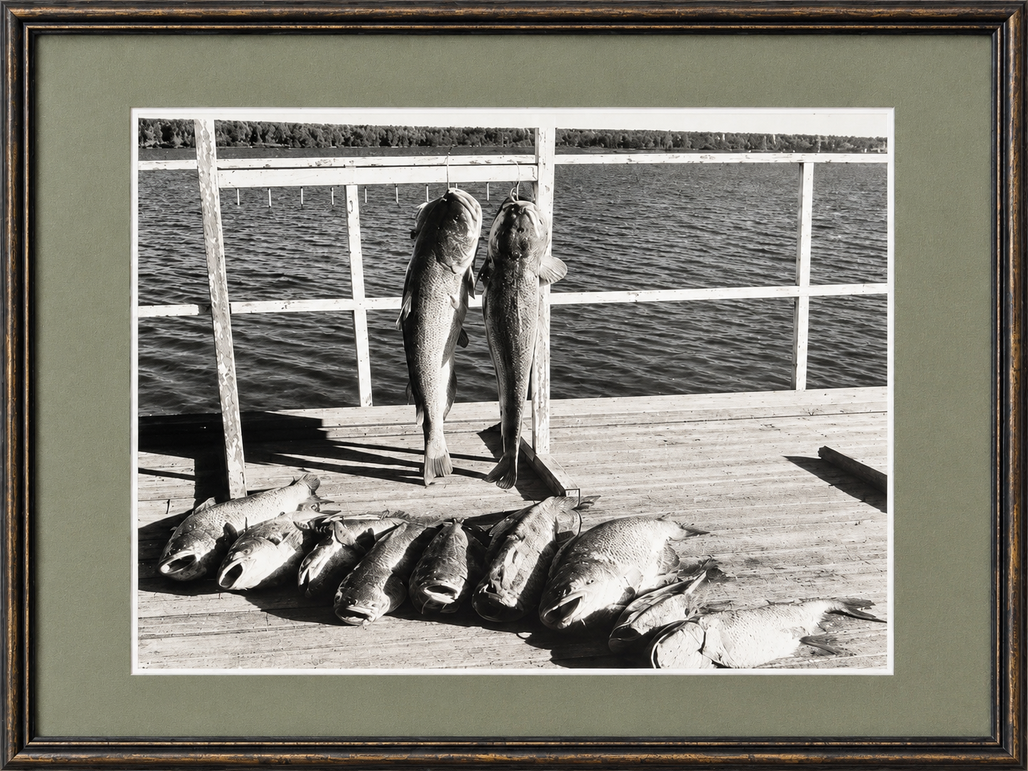 Vintage Lake Texoma striper fishing photograph